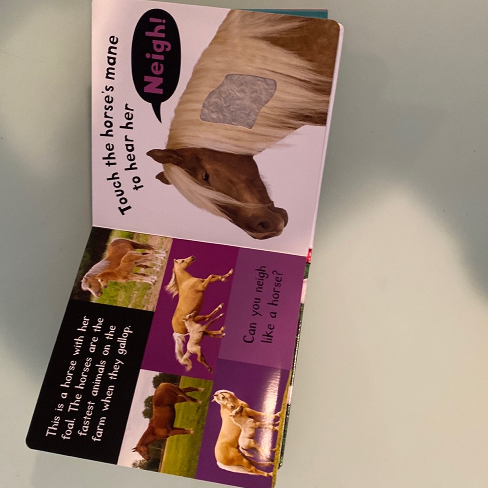 NWT Early learning books - Picture 3 of 5